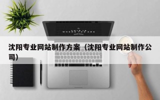 海门沈阳专业网站制作方案（沈阳专业网站制作公司）